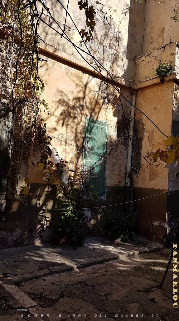 ORAN ECOLE PASTEUR QUI EST SQUATTEE (7).jpg